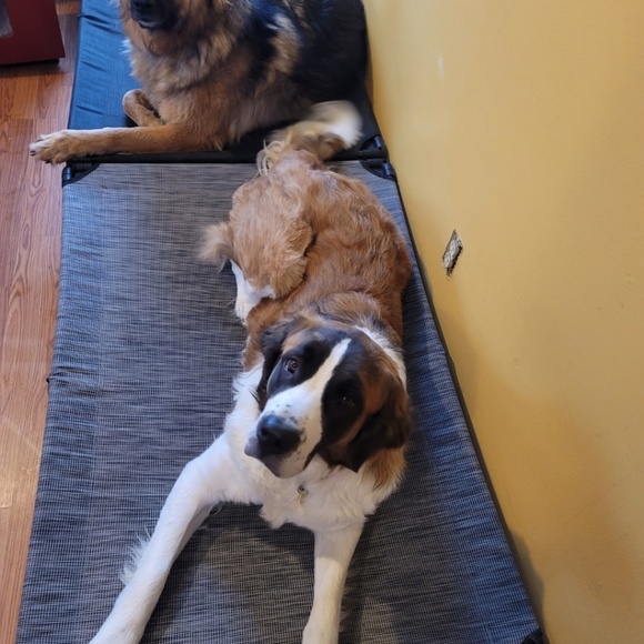 Meet your Posher, Amy - Picture 1 of 1